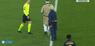 博塔弗戈官方：前波尔图主帅安塞尔米担任球队新帅（博塔弗戈官宣：前波尔图主帅安塞尔米出任新任主教练）